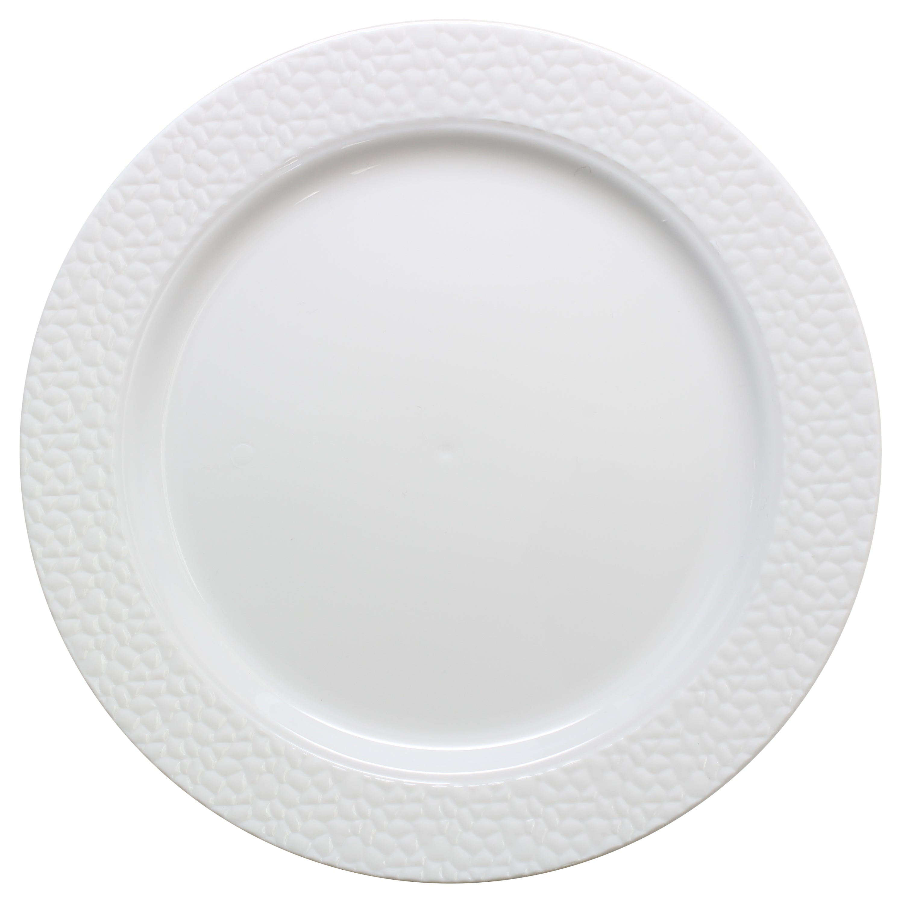 Large Flat Plate Collection Deluxe Partyware
