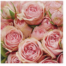 Disposable_Napkin 33x33cm/13in 20pc - Lots Of