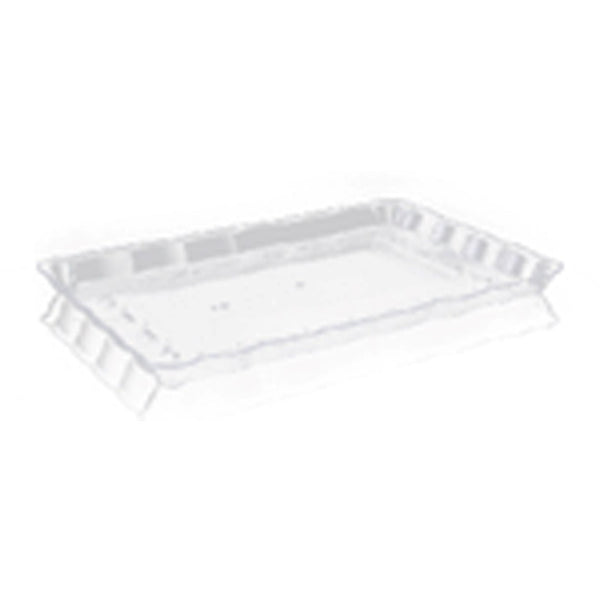 Disposable_Scallop - Transparent Reusable Plastic Serving Tray 22x33cm/8.5in