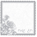 Disposable_Silver Napkin 33x33cm/13in 20pc - Chag Sameach