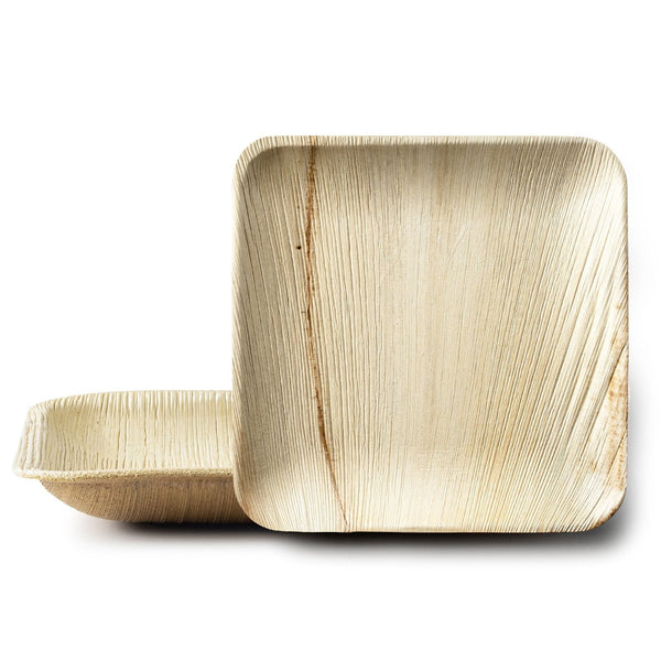 Disposable_Palm - Natural Square Reusable Palm Leaf Plate 26cm/10in 10pc