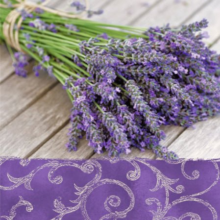 Disposable_Purple Napkin 33x33cm/13in 20pc - Lavender In The Country