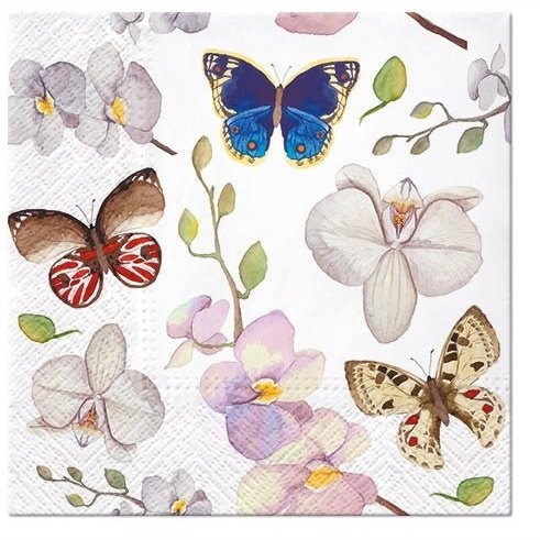 Disposable_Natural Napkin 33x33cm/13in 20pc - Orchidea Butterfly