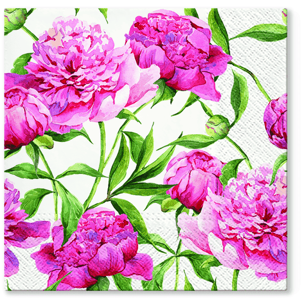 Disposable_Pink Napkin 33x33cm/13in 20pc - Peonies
