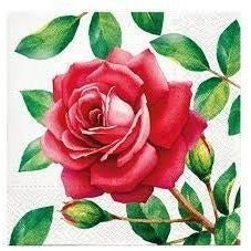 Disposable_Red Napkin 33x33cm/13in 20pc - Special Rose