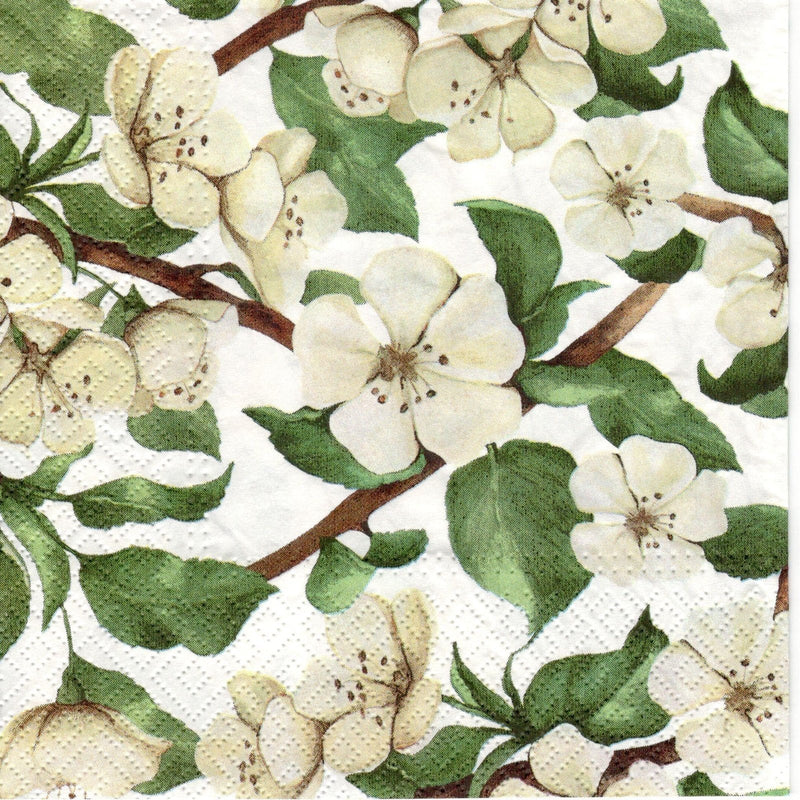 Disposable_White Napkin 33x33cm/13in 20pc - Apple Blossom