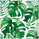 Disposable 20 Green Napkin 33x33cm - MONSTERA 